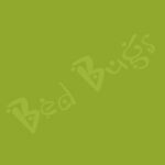 Bed Bugs