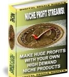 Niche Profit Streams