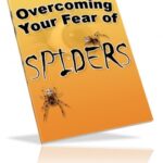 Overcoming Your Fear of Spiders