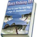 Bass Fishing 101