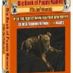 Big Book of Puppy Names