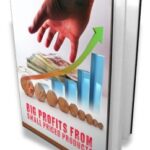 Big Profits From Small Priced Products