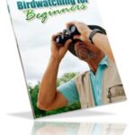 Birdwatching For Beginners