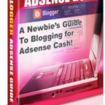 Blogger Adsense Guide