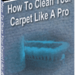 How To Clean Your Carpet Like A Pro