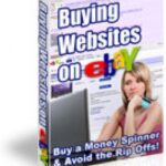 Buying Websites On eBay