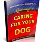 Caring For Your Dog