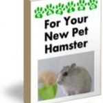For Your New Pet Hamster
