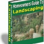 Homeowners Guide To Landscaping