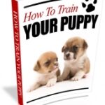 How To Train Your Puppy