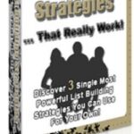 List Building Strategies That Really Work