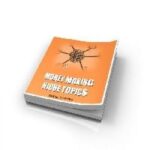 Money Making Niche Topics