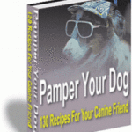 Pamper Your Dog